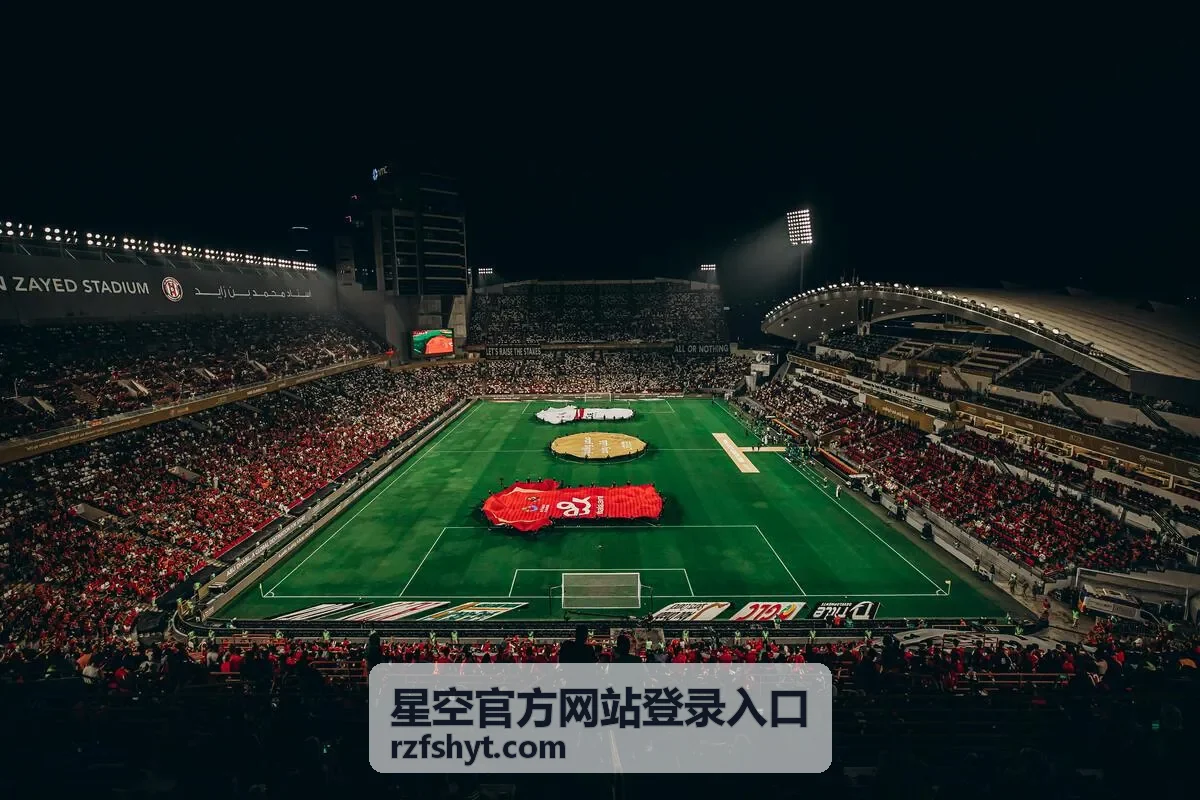 星空官方网站登录入口 账号安全设置说明