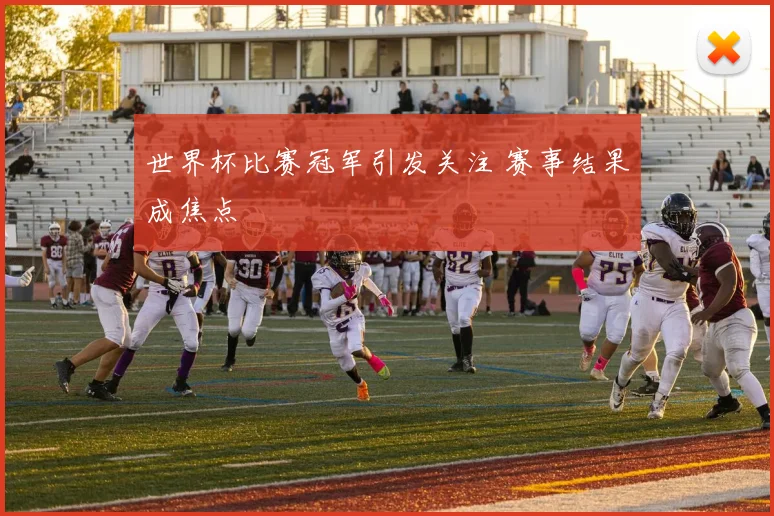 世界杯比赛冠军引发关注 赛事结果成焦点