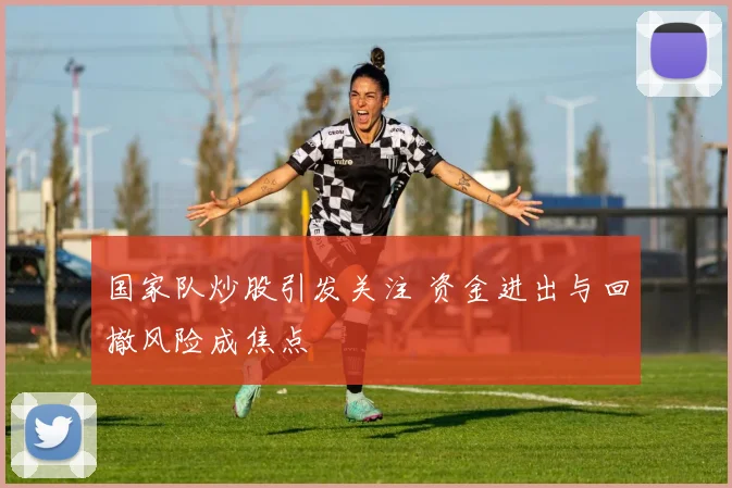 国家队炒股引发关注 资金进出与回撤风险成焦点