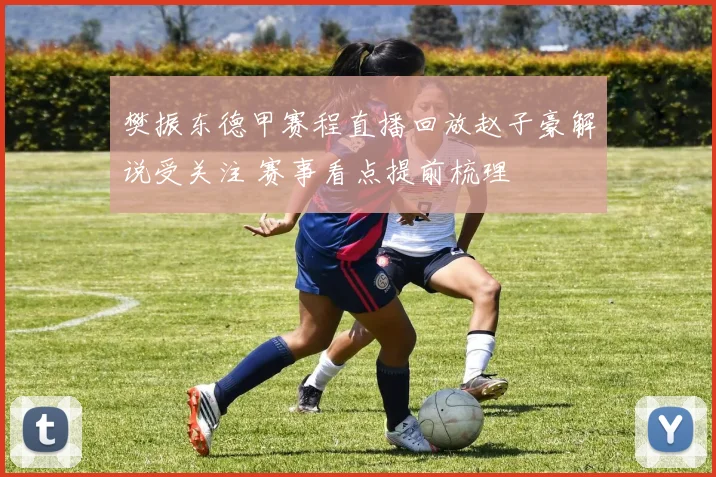 樊振东德甲赛程直播回放赵子豪解说受关注 赛事看点提前梳理