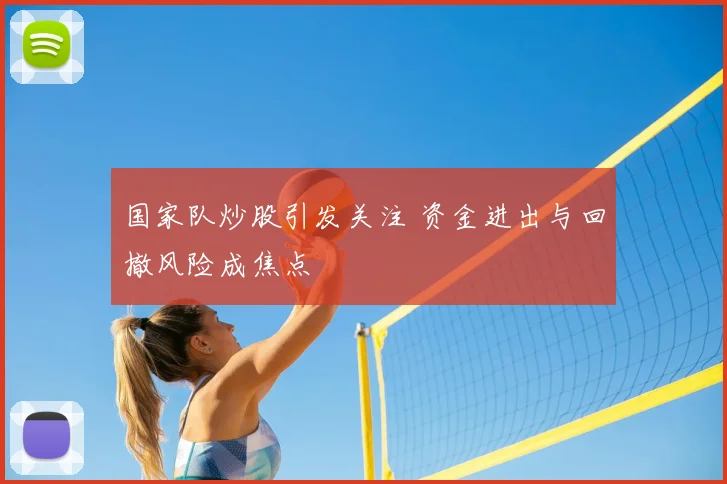 国家队炒股引发关注 资金进出与回撤风险成焦点