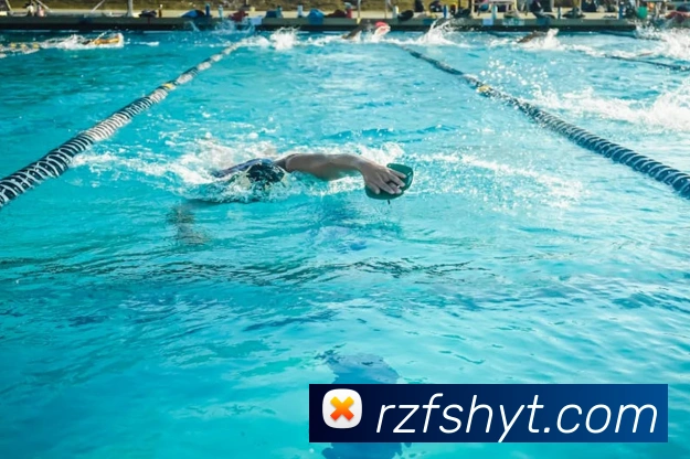 kaiyun体育在线官网登录入口平台生态图